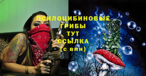 2c-b Алзамай