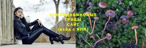 2c-b Алзамай