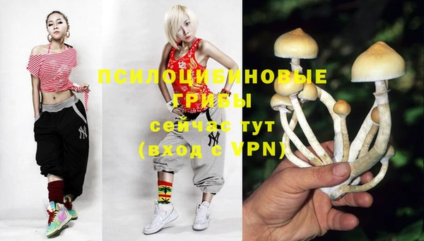 прущий лед Алексин