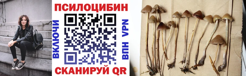 дарк нет какой сайт  продажа наркотиков  Изобильный  Псилоцибиновые грибы Cubensis 