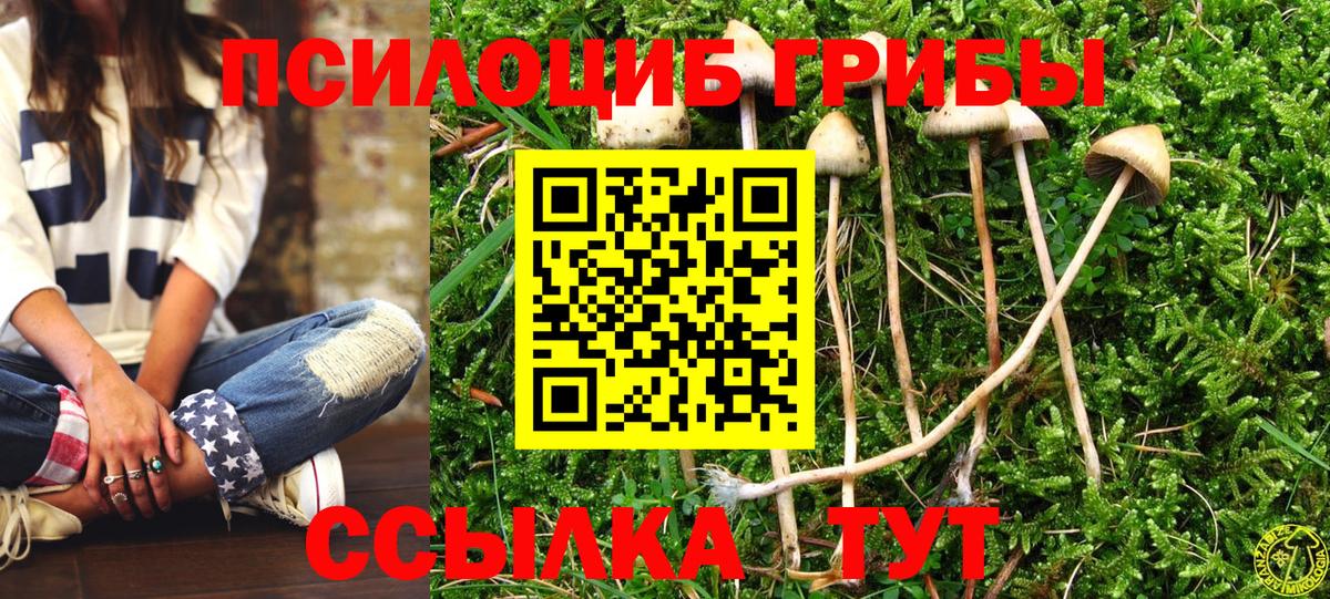 Псилоцибиновые грибы мухоморы Изобильный